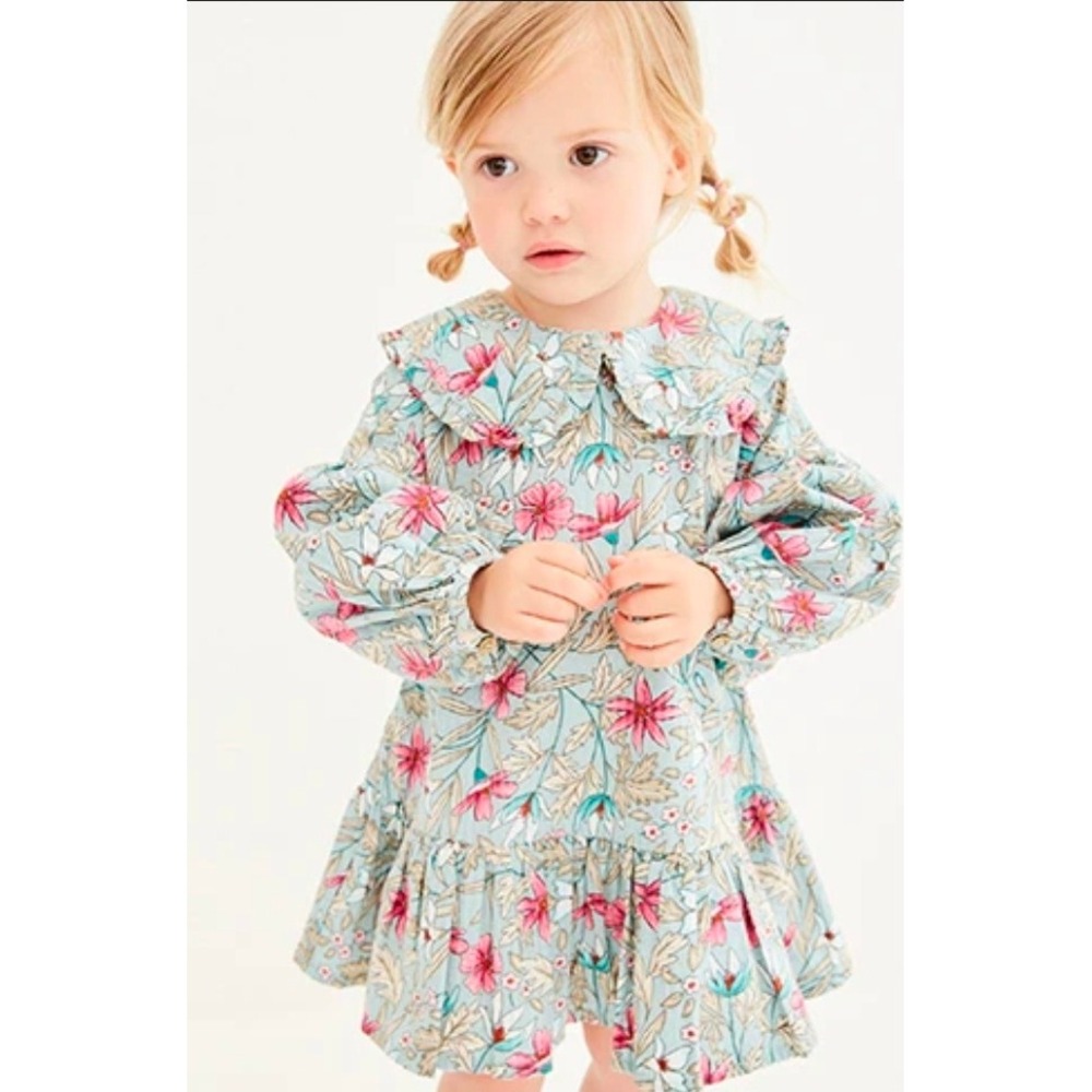 Next Kids Floral Dress Blue Pink Peter Pan Collar Long‎ Sleeve Cotton 2-3 Years